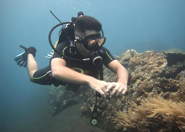 Puri Wirata Dive And Resort 3*